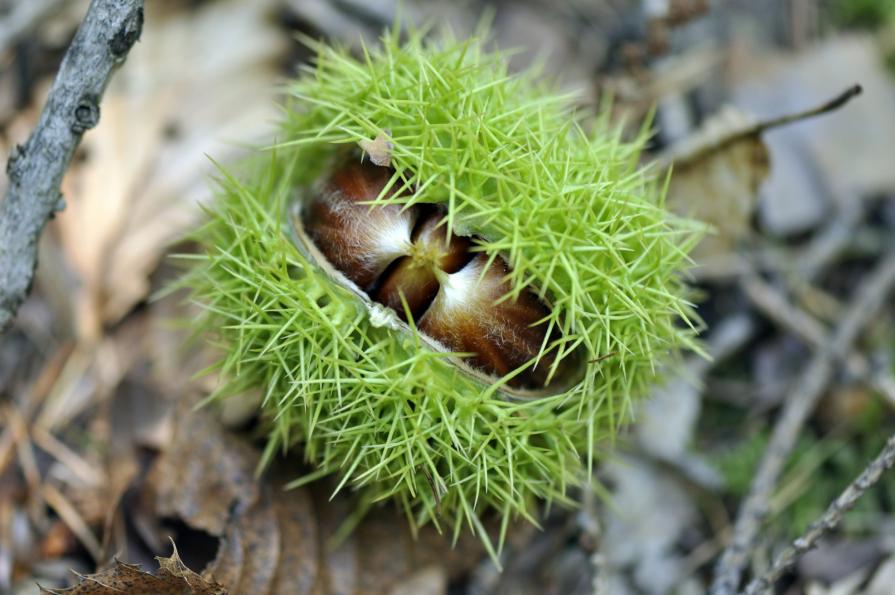 Uno per tutti e tutti per uno