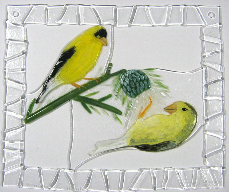 amerikanischer Stieglitz