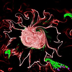 l'emozione gira gira...