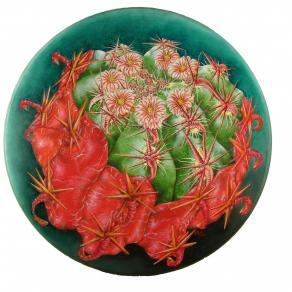 FEROCACTUS e DIASPRO ROSSO