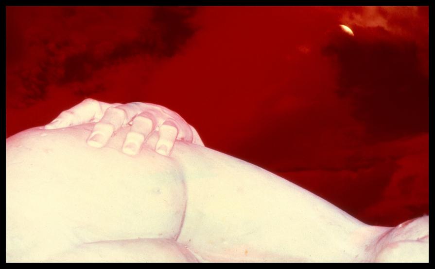 Augusto De Luca ! photo 12