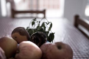 david querol - Lontana