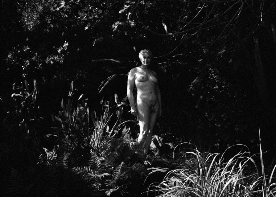 "La naissance de Venus" Delia, in transition. San Francisco 2013.