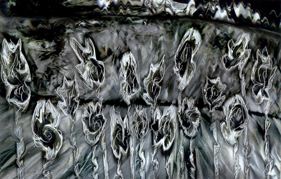 essere dispersi in un campo di fiori neri.