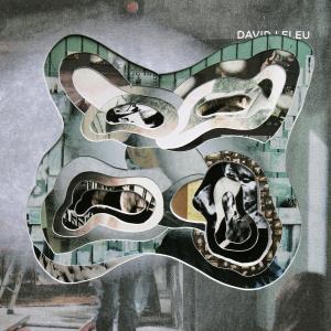 Iconotropy (David leleu's catalog)