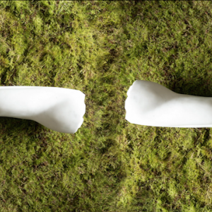 Reconciliation | Prints | Moss