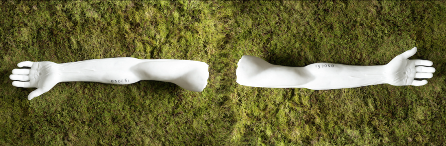 Reconciliation | Prints | Moss