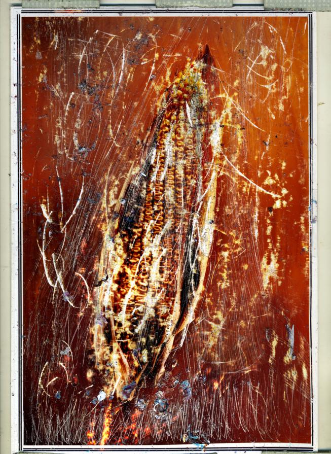 dematerializzare in polenta