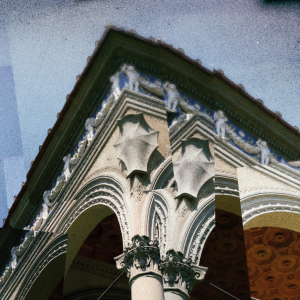 orticoltura 02 orticoltura 02