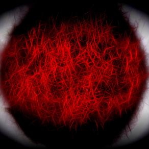 Flusso di pensieri  ( Flow of thoughts ) 