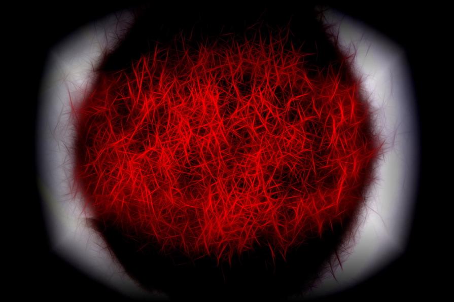 Flusso di pensieri  ( Flow of thoughts ) 