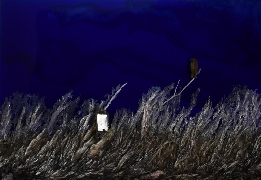 Self Reflection in the Domain of the Hawk