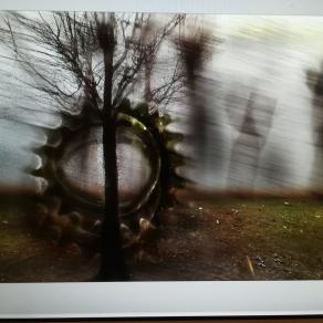 Il ciclo della natura sempre in movimento. 