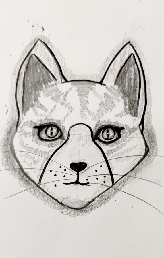  Nel fascio di luce brillavano gli occhietti perversi di un procione...