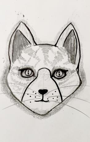  Nel fascio di luce brillavano gli occhietti perversi di un procione...