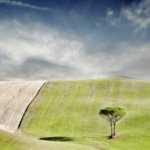 PREMIO ROTONDA 2011 CITTA? DI LIVORNO