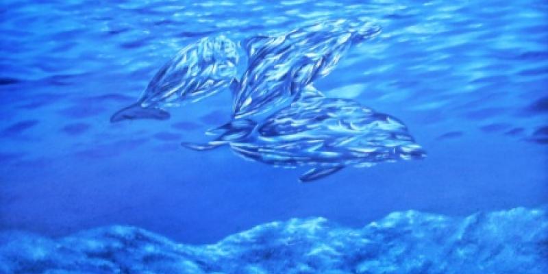 Personali di Pittura Contemporanea Personali di Pittura Contemporanea