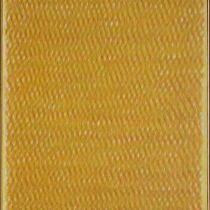 Connection – Discontinuance. Sistemi autopoietici nella ricerca artistica contemporanea