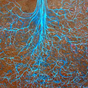 Maristella Angeli, partecipa alla Virtual Art Exhibition “Inside Roots”