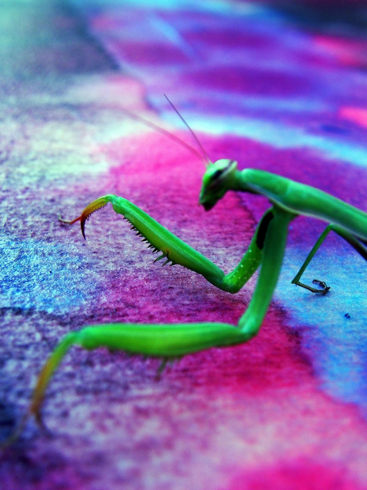 Esposizione al Louvre Esposizione al Louvre