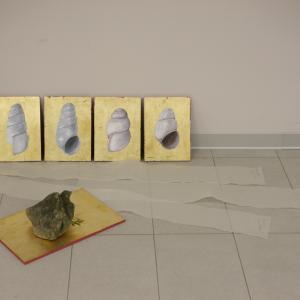 Figura Aqua, la Forma dell'acqua Figura Aqua, la Forma dell'acqua