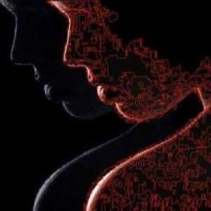 Profili d'artista Profili d'artista