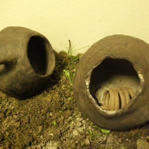 AMMETTO!!!,  ANCH'IO NON SAPEVO...