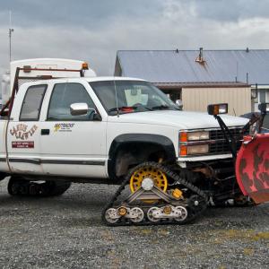 USA. Alaska 1/3. Forme di vita