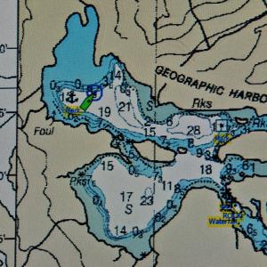 USA. Alaska 1/3. Forme di vita