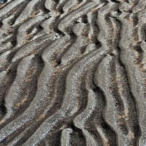 USA. Alaska 3/3. Indagine sulla materia pura