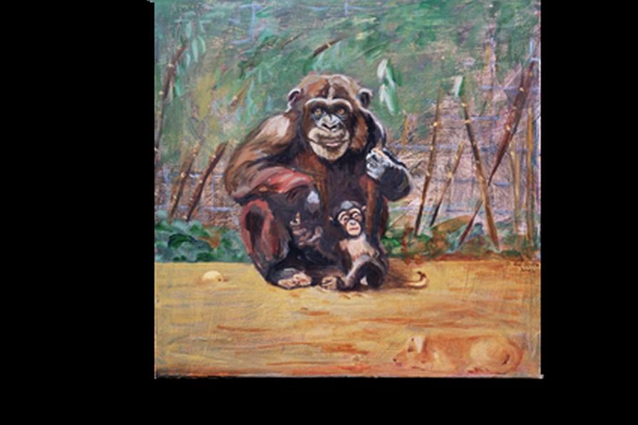 orango, amore materno