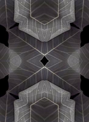 Lament XVII digital print 150x112 cm 2009