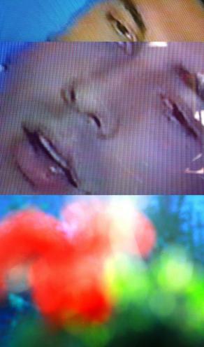 Siamo una fotografia che è strappata, L'istante che avremo amato su questa terra ma che la folgore d