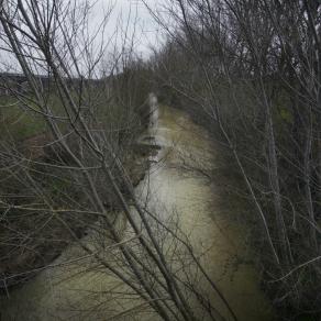 OGNI ANNO _Every Year ( foto3)