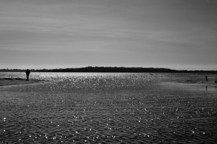 Mare Tranquillitatis