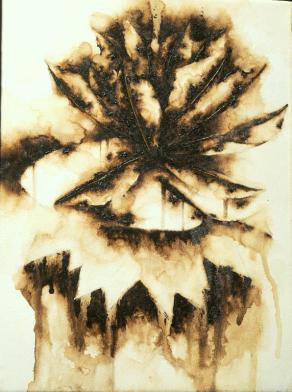 Studio per giglio d'acqua