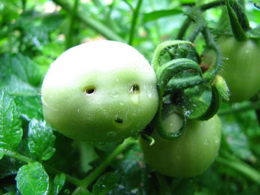 Sometimes you just want to cry