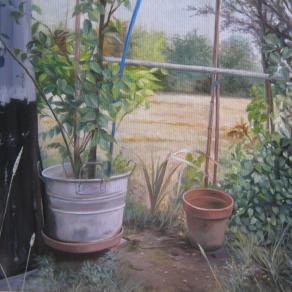 Angolo di aia a Villa Rovere 