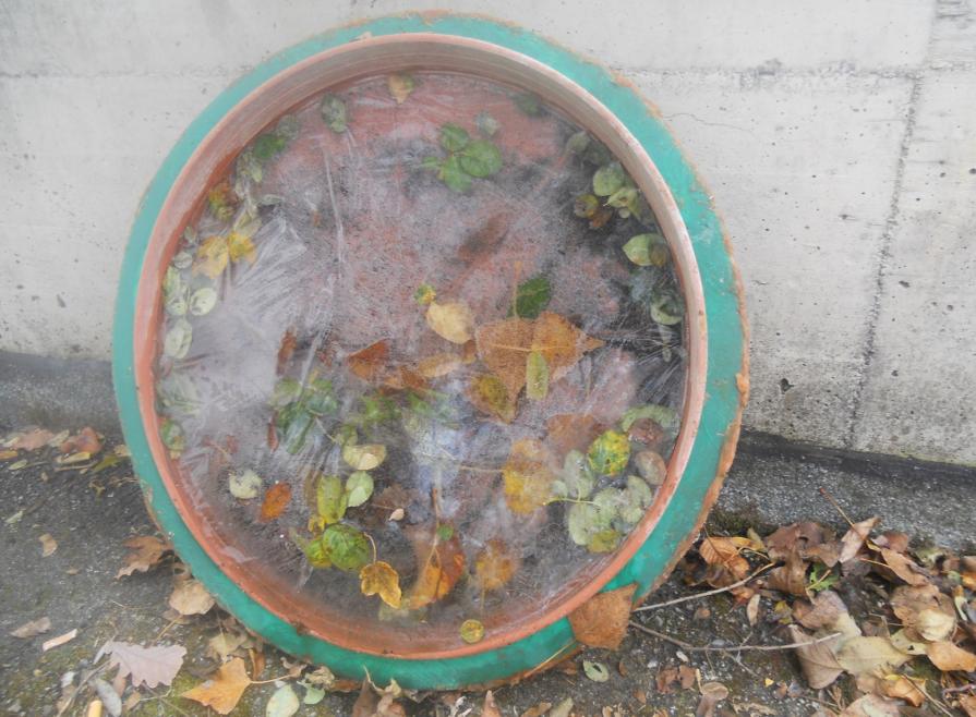 PRIGIONE di GHIACCIO