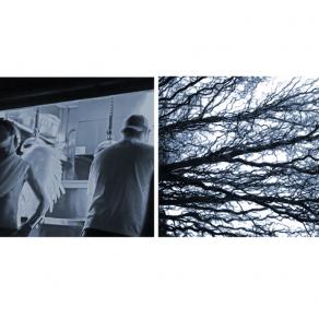 heavens kitchen_the abbey heavens kitchen_the abbey