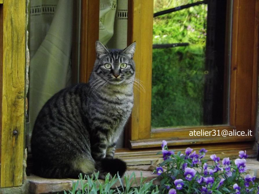 Toscana, sguardo soriano