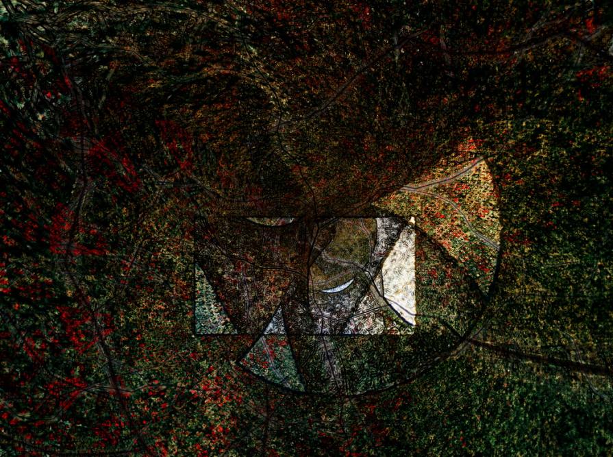 I feel, i love, i suffer 