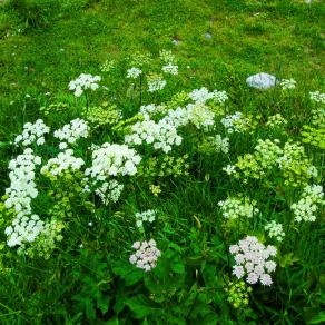   ...I VIAGGI DI TANYA (47)... 