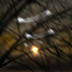 lasciamola andare liberiamola dal nostro amore.