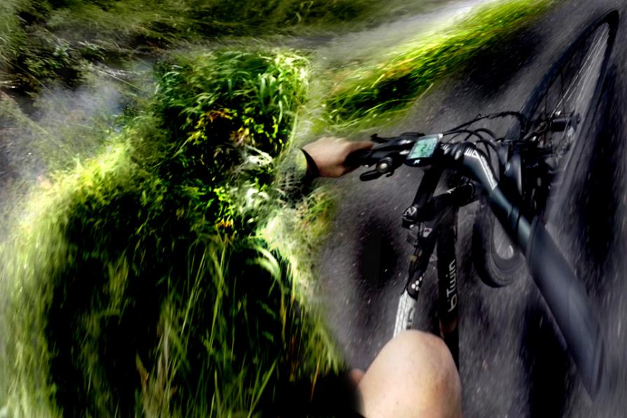 pedaliamo in due oggi.lungo la via dei miracoli.....no doping...