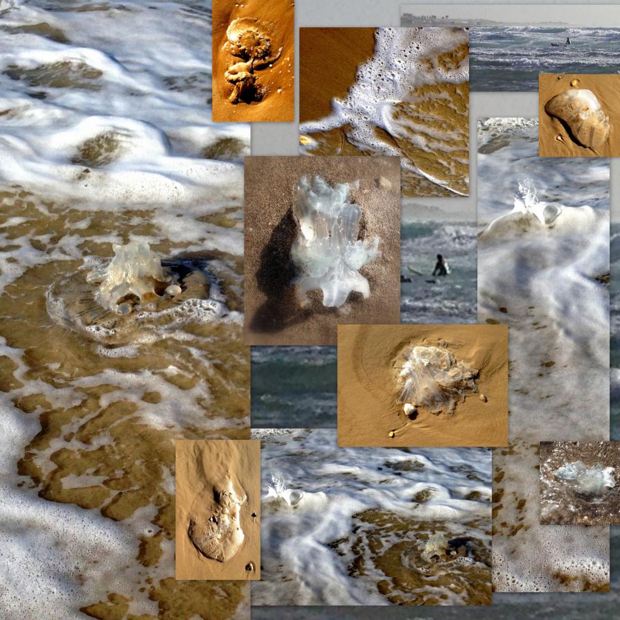 Guests @ Carmel Beach. Haifa 30.01.14