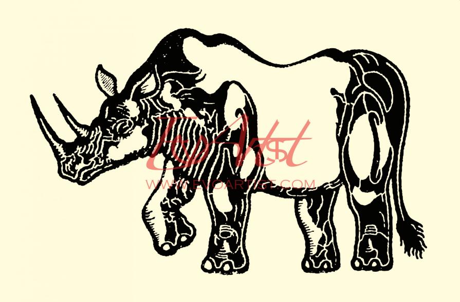 Diceros bicornis - MINIATURA