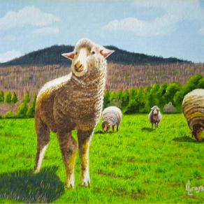 LG 0218 - Le pecorelle