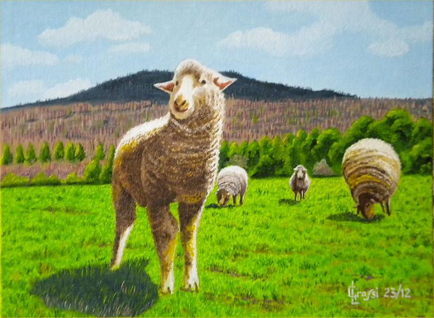 LG 0218 - Le pecorelle