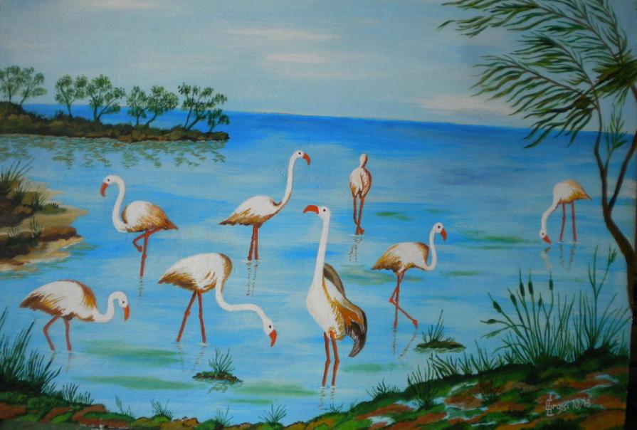 LG 0243 - Fenicotteri a Colostrai - Sardegna